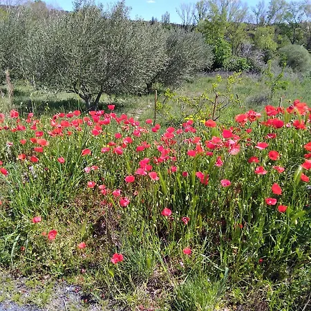 Magenta 아파트 Vinca