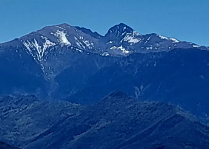 Magenta Vinça