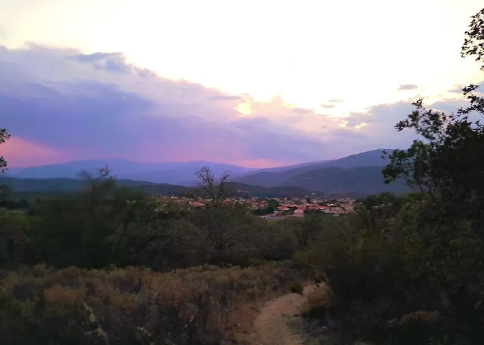 Magenta * Vinça