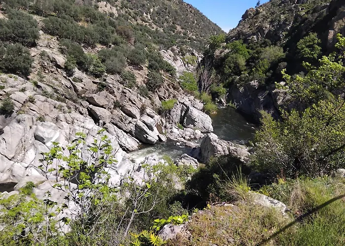 아파트 Magenta Vinca